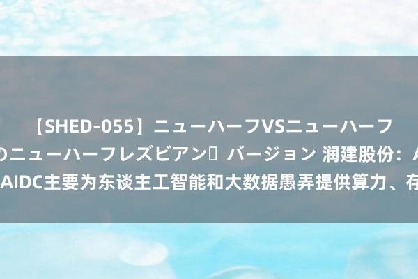 【SHED-055】ニューハーフVSニューハーフ 不純同性肛遊 2 魅惑のニューハーフレズビアン・バージョン 润建股份：AIDC主要为东谈主工智能和大数据愚弄提供算力、存储和联系作事的数据中心