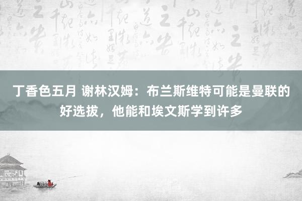 丁香色五月 谢林汉姆：布兰斯维特可能是曼联的好选拔，他能和埃文斯学到许多