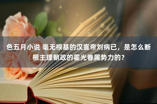 色五月小说 毫无根基的汉宣帝刘病已，是怎么断根主理朝政的霍光眷属势力的？