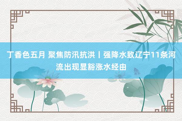 丁香色五月 聚焦防汛抗洪丨强降水致辽宁11条河流出现显豁涨水经由