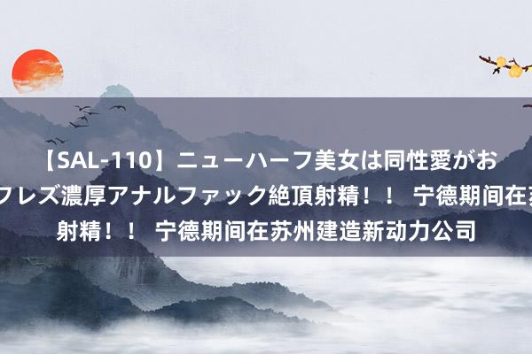 【SAL-110】ニューハーフ美女は同性愛がお好き♪ ニューハーフレズ濃厚アナルファック絶頂射精！！ 宁德期间在苏州建造新动力公司