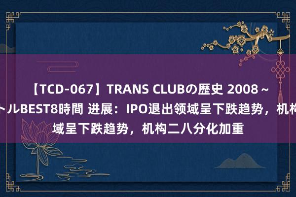 【TCD-067】TRANS CLUBの歴史 2008～2011 44タイトルBEST8時間 进展：IPO退出领域呈下跌趋势，机构二八分化加重