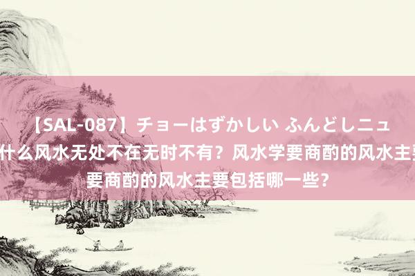 【SAL-087】チョーはずかしい ふんどしニューハーフ 2 为什么风水无处不在无时不有？风水学要商酌的风水主要包括哪一些？