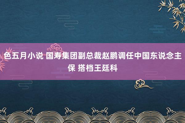 色五月小说 国寿集团副总裁赵鹏调任中国东说念主保 搭档王廷科