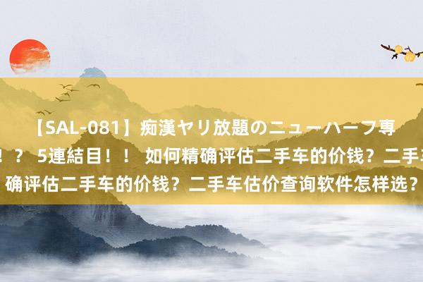 【SAL-081】痴漢ヤリ放題のニューハーフ専用車は本当にあるのか！？ 5連結目！！ 如何精确评估二手车的价钱？二手车估价查询软件怎样选？