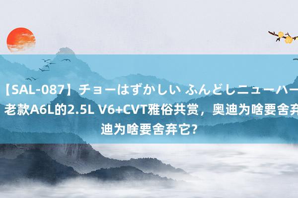 【SAL-087】チョーはずかしい ふんどしニューハーフ 2 老款A6L的2.5L V6+CVT雅俗共赏，奥迪为啥要舍弃它？