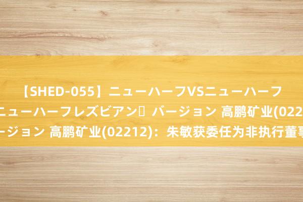 【SHED-055】ニューハーフVSニューハーフ 不純同性肛遊 2 魅惑のニューハーフレズビアン・バージョン 高鹏矿业(02212)：朱敏获委任为非执行董事