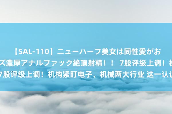 【SAL-110】ニューハーフ美女は同性愛がお好き♪ ニューハーフレズ濃厚アナルファック絶頂射精！！ 7股评级上调！机构紧盯电子、机械两大行业 这一认识股也火了