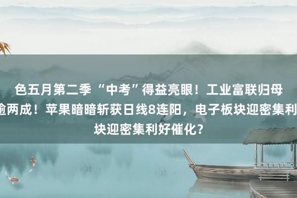 色五月第二季 “中考”得益亮眼！工业富联归母净利增逾两成！苹果暗暗斩获日线8连阳，电子板块迎密集利好催化？