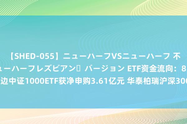 【SHED-055】ニューハーフVSニューハーフ 不純同性肛遊 2 魅惑のニューハーフレズビアン・バージョン ETF资金流向：8月13日南边中证1000ETF获净申购3.61亿元 华泰柏瑞沪深300ETF获净申购2.16亿元（附图）