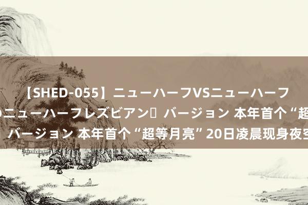 【SHED-055】ニューハーフVSニューハーフ 不純同性肛遊 2 魅惑のニューハーフレズビアン・バージョン 本年首个“超等月亮”20日凌晨现身夜空