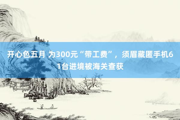 开心色五月 为300元“带工费”，须眉藏匿手机61台进境被海关查获