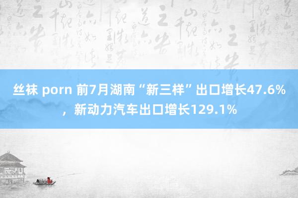 丝袜 porn 前7月湖南“新三样”出口增长47.6%，新动力汽车出口增长129.1%