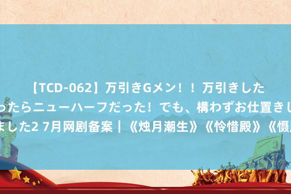 【TCD-062】万引きGメン！！万引きした美女を折檻しようと思ったらニューハーフだった！でも、構わずお仕置きして射精させちゃいました2 7月网剧备案｜《烛月潮生》《怜惜殿》《慑服的裙摆》等影视化，《少年歌行之南明离火》《乌贼》等已备案