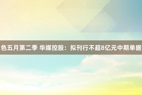 色五月第二季 华媒控股：拟刊行不超8亿元中期单据