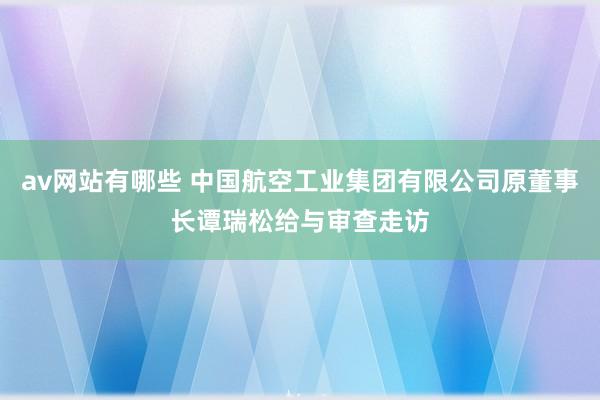 av网站有哪些 中国航空工业集团有限公司原董事长谭瑞松给与审查走访