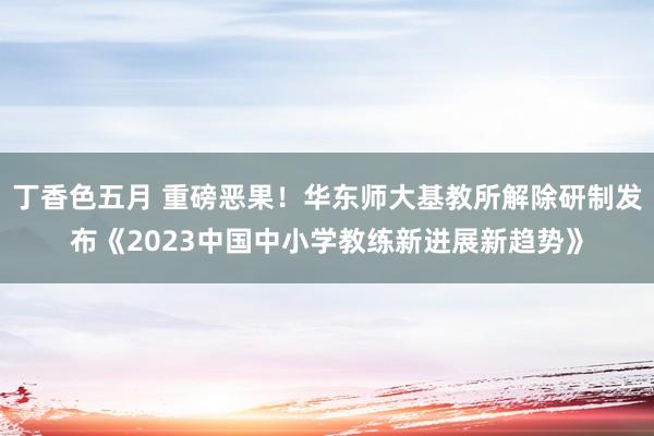 丁香色五月 重磅恶果！华东师大基教所解除研制发布《2023中国中小学教练新进展新趋势》