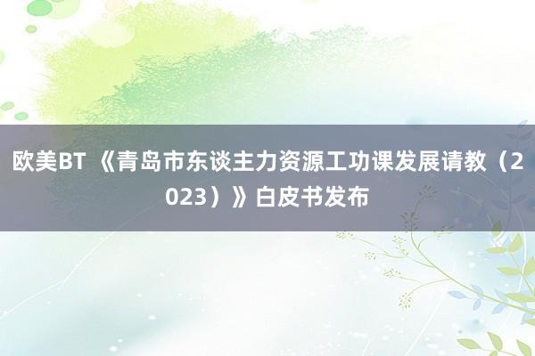 欧美BT 《青岛市东谈主力资源工功课发展请教（2023）》白皮书发布